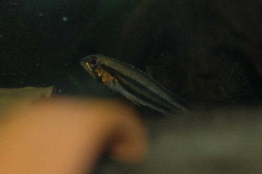 f0003540_19235716.jpg