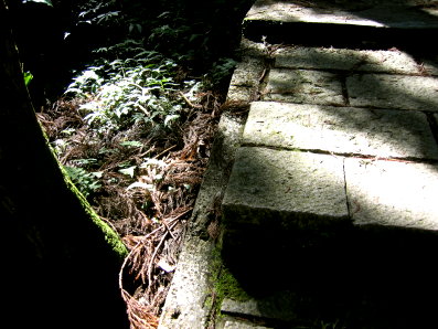 d0013150_1049836.jpg