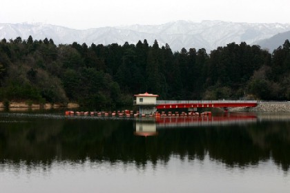 d0063263_1111142.jpg