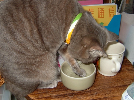 c0072465_914630.jpg