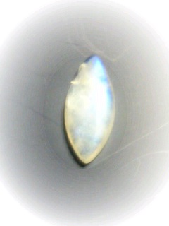 e0003465_11395276.jpg