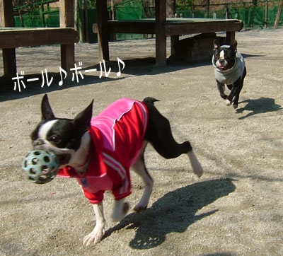 c0032567_22313711.jpg