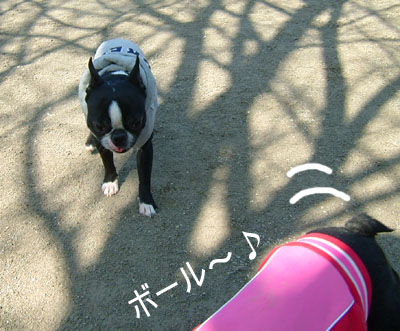 c0032567_22405227.jpg