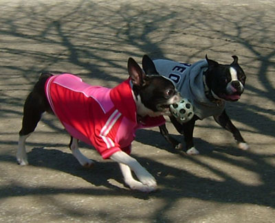 c0032567_2250197.jpg