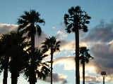 f0052071_1448209.jpg
