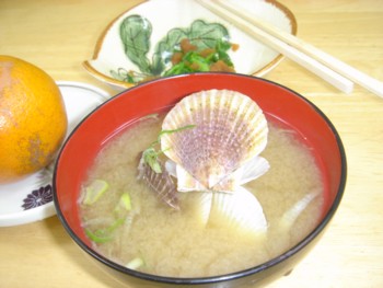 f0020302_122365.jpg