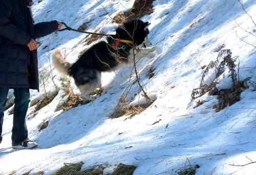 e0001110_731356.jpg