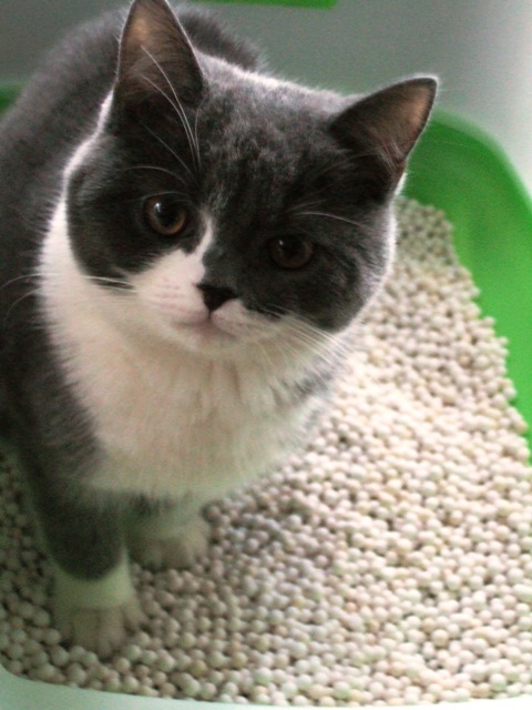 f0032020_10192267.jpg