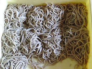 e0064128_23461217.jpg