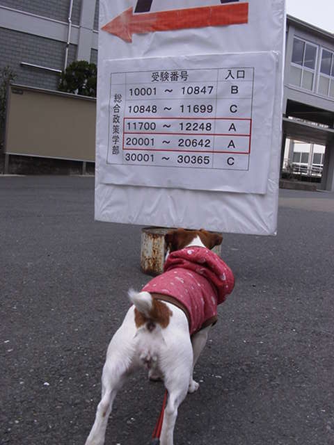 c0035931_17141196.jpg