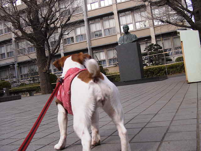 c0035931_1716226.jpg