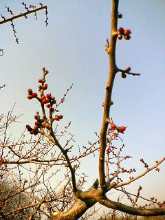 e0076736_0202022.jpg