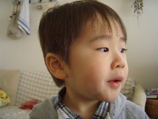 f0001543_17364175.jpg