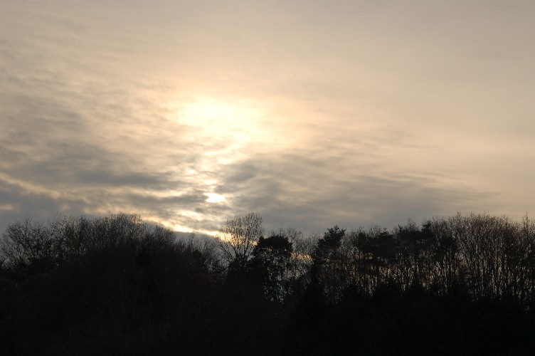 e0009147_20354919.jpg