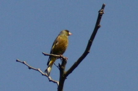 f0061869_1328521.jpg