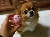 f0052071_1351071.jpg