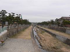 f0001378_17374923.jpg