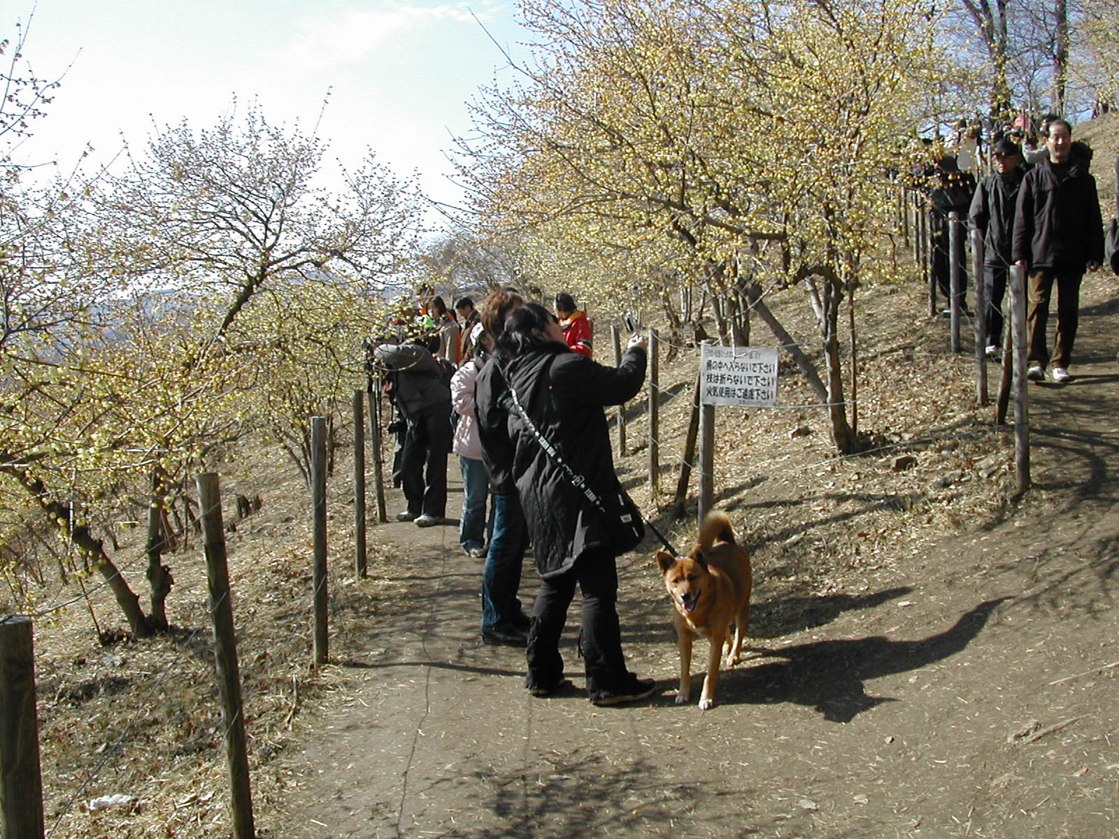 b0032079_22575689.jpg