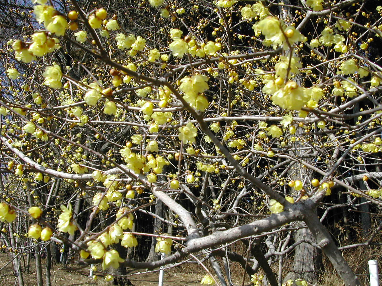 b0032079_22583323.jpg