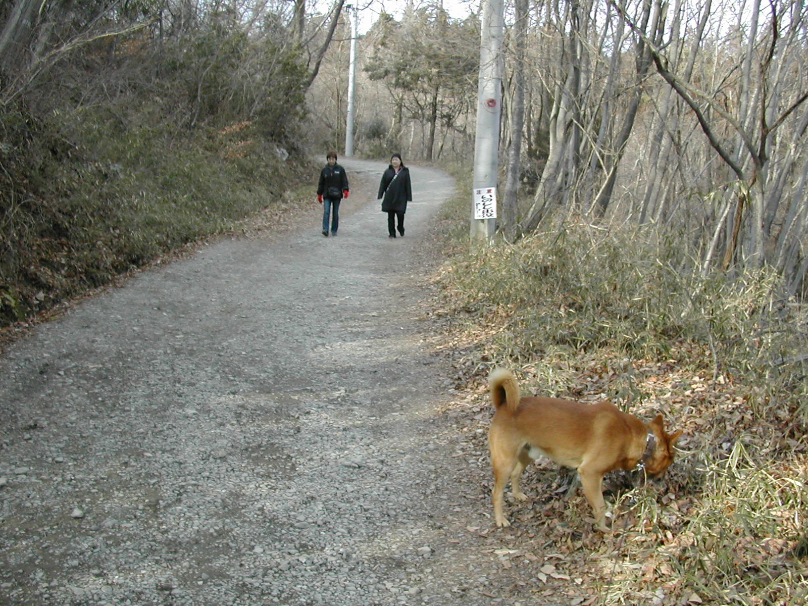 b0032079_230693.jpg