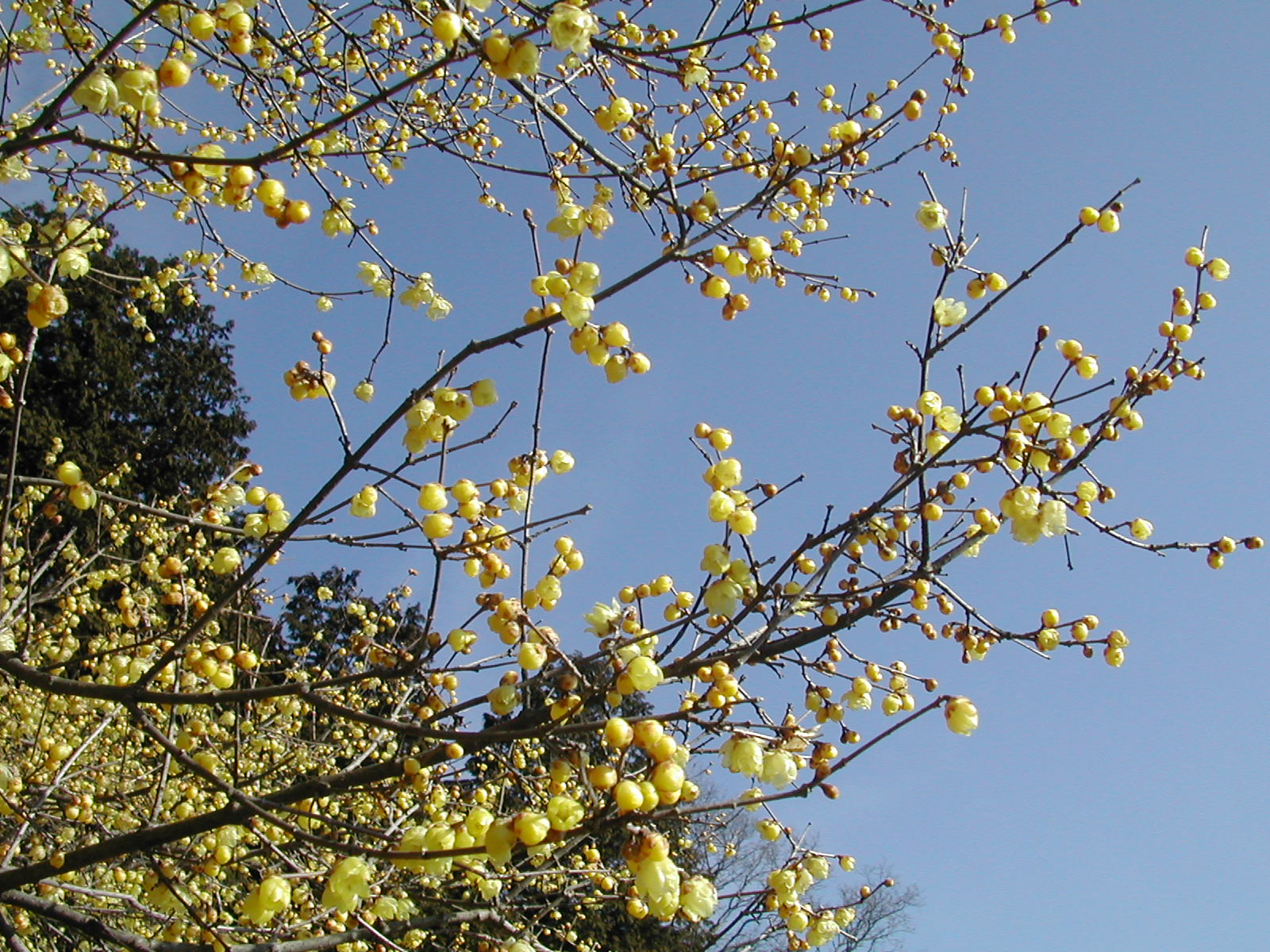 b0032079_2342324.jpg