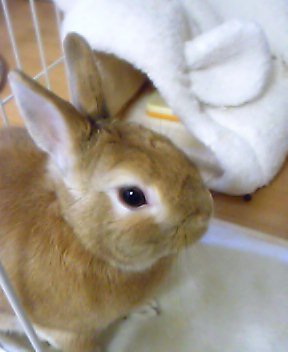 e0024081_0533232.jpg