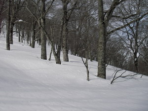 a0043193_2047913.jpg