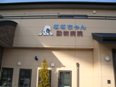 a0061594_0195744.jpg