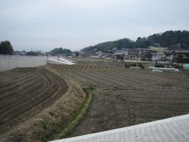 e0051194_1715428.jpg