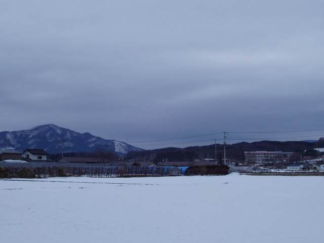 f0003499_11572247.jpg