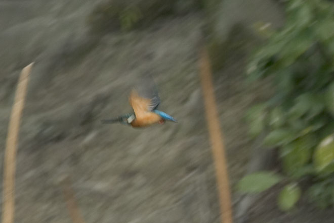 f0063403_23182674.jpg