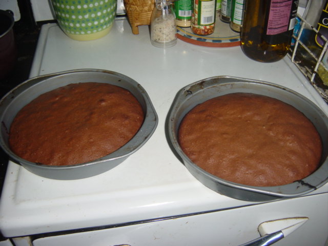 c0048504_735053.jpg