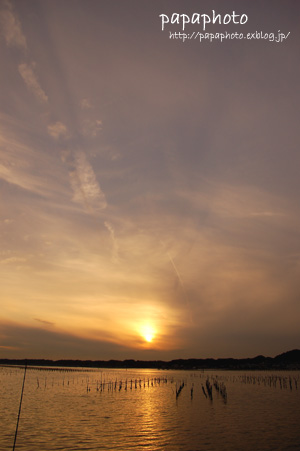 f0041908_16475956.jpg