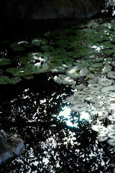 f0071708_18331266.jpg