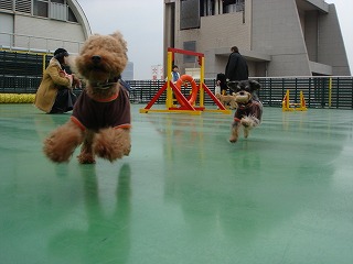 d0023323_23271694.jpg