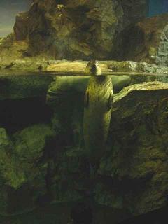 e0050324_123113.jpg