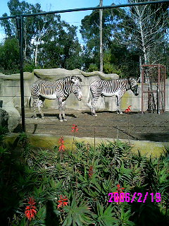f0006234_15154829.jpg