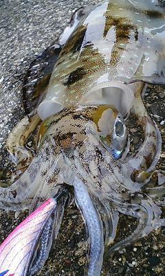 f0009238_065046.jpg