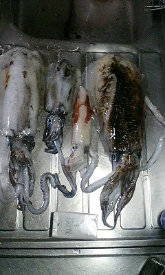 f0009238_065054.jpg