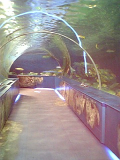 f0006939_2192711.jpg