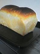 e0028240_01826.jpg