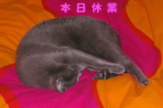 c0006748_7292718.jpg