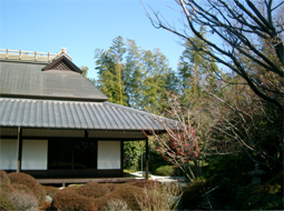 c0069552_1924984.jpg