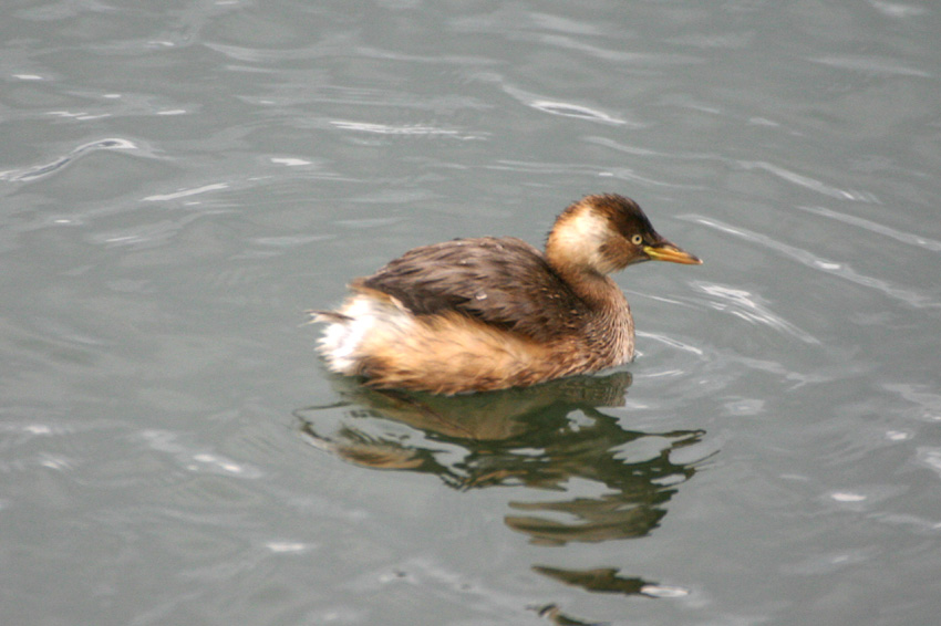 d0013455_13164165.jpg
