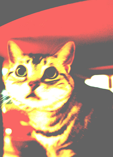 c0026870_9442185.jpg