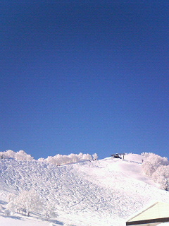 e0039871_16204692.jpg