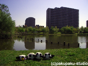 e0015195_0193628.jpg