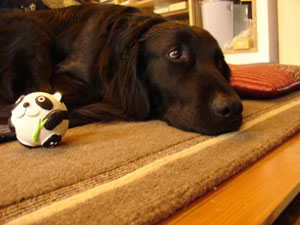 c0040702_12122667.jpg