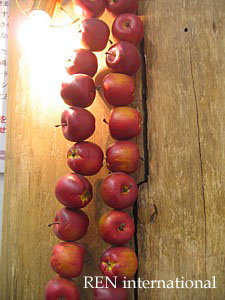 e0091804_19362969.jpg