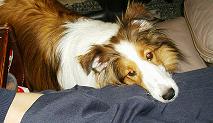 a0053420_0331198.jpg